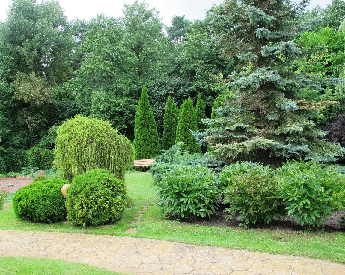 Ливадия на Истре